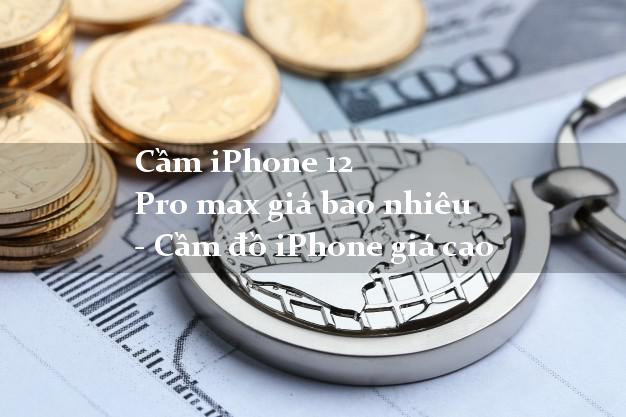 Cầm iPhone 12 Pro max giá bao nhiêu - Cầm đồ iPhone giá cao