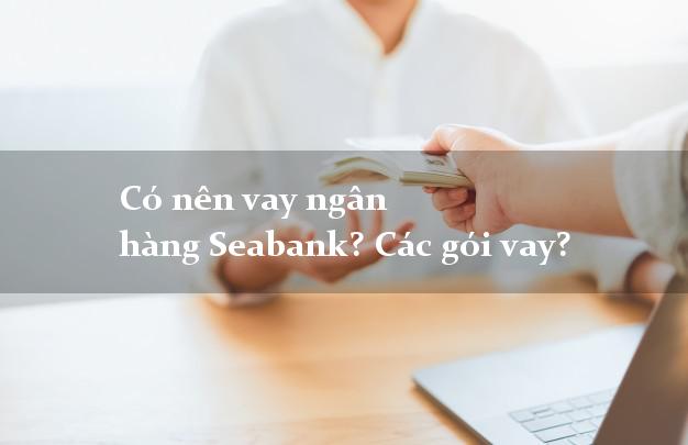 Có nên vay ngân hàng Seabank? Các gói vay?