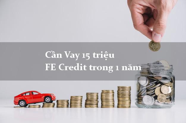 Cần Vay 15 triệu FE Credit trong 1 năm