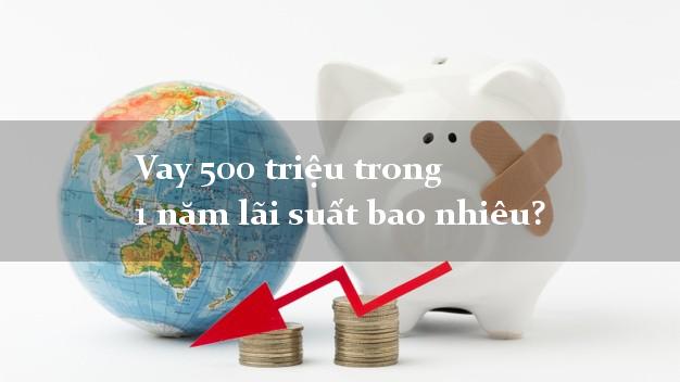 Vay 500 triệu trong 1 năm lãi suất bao nhiêu?